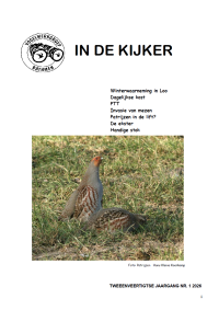 Jaargang 42 2026 Nr. 1